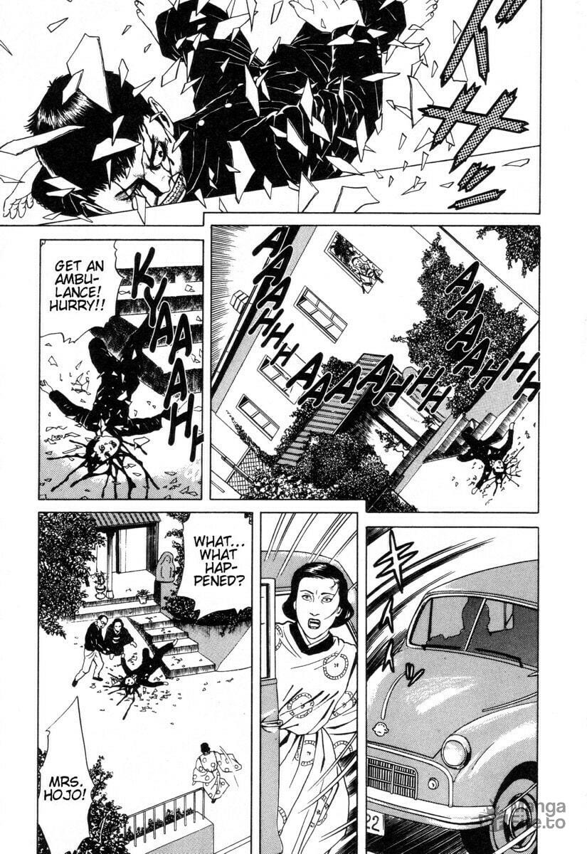 2 page 8