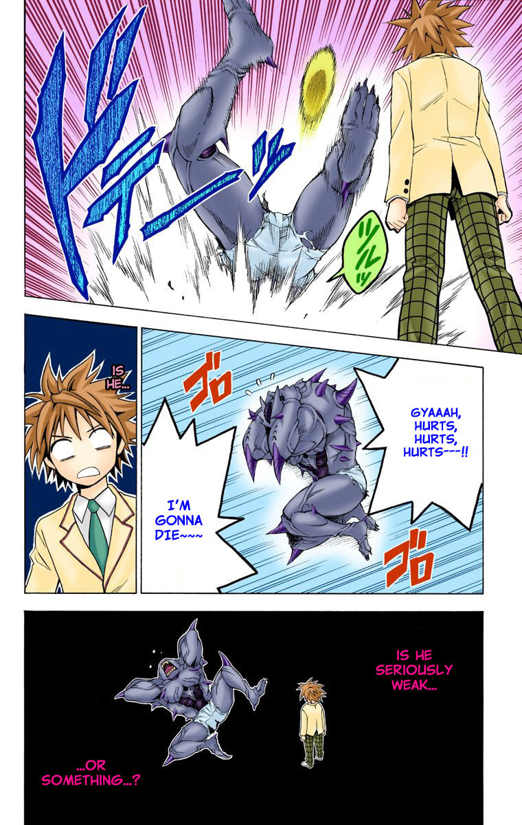 Real Form page 13